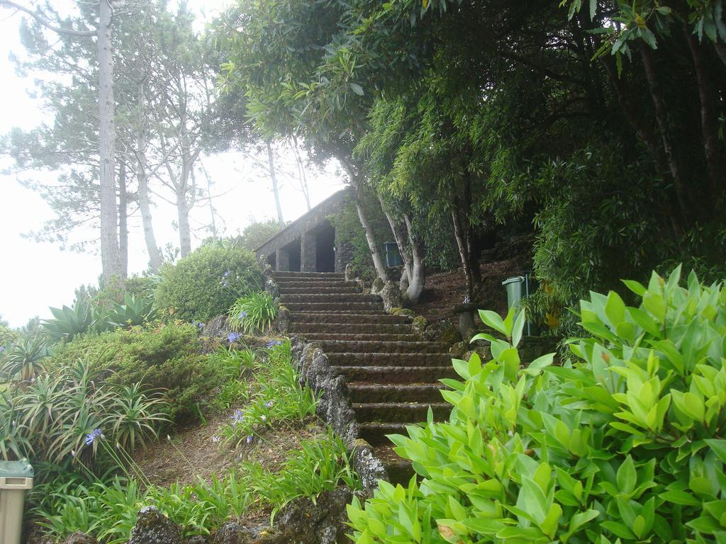 Pico Formoso Vinea Lava Alojamentos Pico Prainha  エクステリア 写真