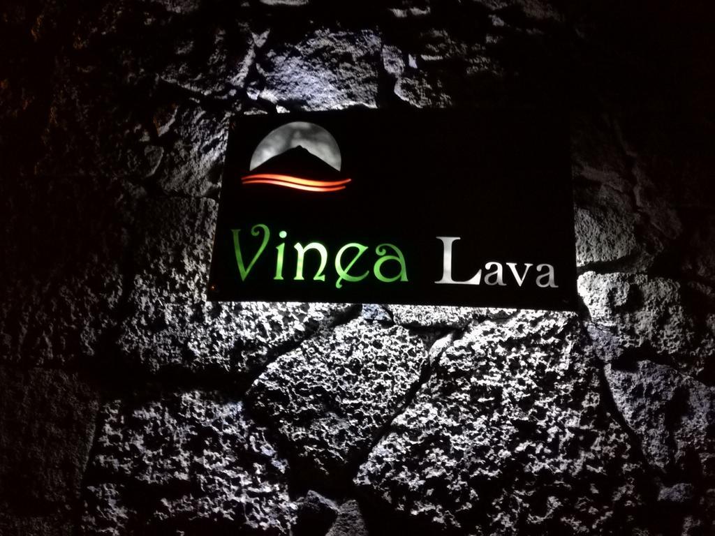 Pico Formoso Vinea Lava Alojamentos Pico Prainha  エクステリア 写真