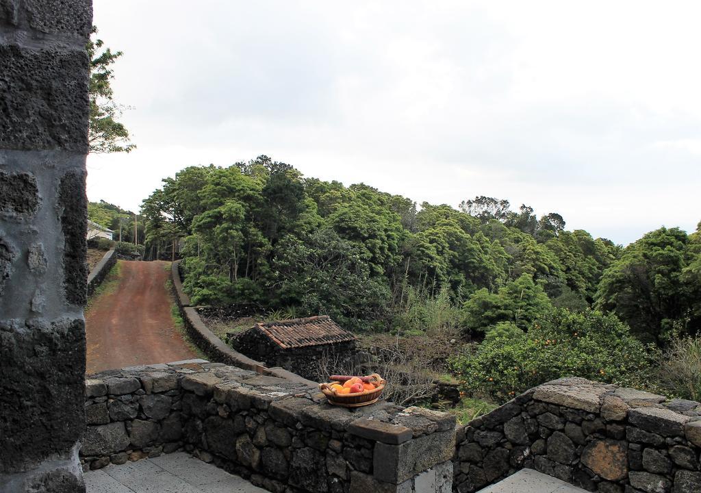 Pico Formoso Vinea Lava Alojamentos Pico Prainha  エクステリア 写真